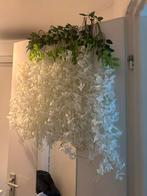 Hangende bloemen witte wisteria, Ophalen of Verzenden, Zo goed als nieuw, Binnen