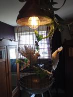 Leuke jungle lamp, Huis en Inrichting, Lampen | Hanglampen, Metaal, Zo goed als nieuw, 50 tot 75 cm, Ophalen