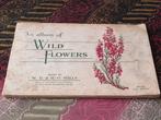Oud Engels album met sigarettenplaatjes van wilde bloemen., Ophalen of Verzenden