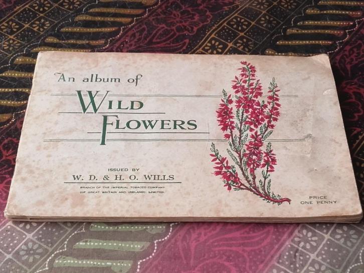 Oud Engels album met sigarettenplaatjes van wilde bloemen., Antiek en Kunst, Antiek | Woonaccessoires, Ophalen of Verzenden