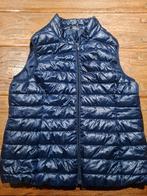 Hema Bodywarmer XL - Goede Staat, Paars, Maat 46/48 (XL) of groter, Ophalen of Verzenden, Gedragen