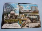 Ansicht - Groeten uit Leeuwarden Friesland, Verzamelen, Ansichtkaarten | Nederland, Verzenden, 1960 tot 1980, Ongelopen, Friesland