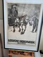 Willij Sluiter - Leidse Dierenweek Poster, Antiek en Kunst, Kunst | Litho's en Zeefdrukken, Ophalen of Verzenden