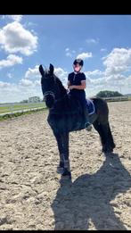 Verzorg pony gezocht (verzorgster aangeboden), Ophalen of Verzenden, Zo goed als nieuw