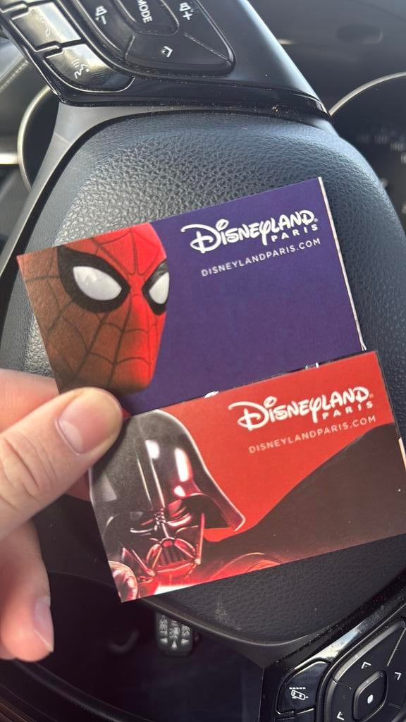 2x 3 dagen tickets Disney Land parijs geldig van 2-2 t/m 9-2, Twee personen, Ticket of Toegangskaart