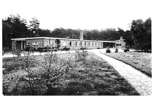 938579	Ermelo	Gld 1974 Dennenheul	Gelopen met postzegel, Verzamelen, Ansichtkaarten | Nederland, Gelopen, Gelderland, 1960 tot 1980