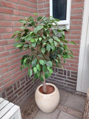 Kunstplant met bloempot beschikbaar voor biedingen
