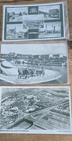 Drie oude ansichtkaarten van Diergaarde Blijdorp, Ophalen of Verzenden, 1940 tot 1960, Gelopen, Zuid-Holland