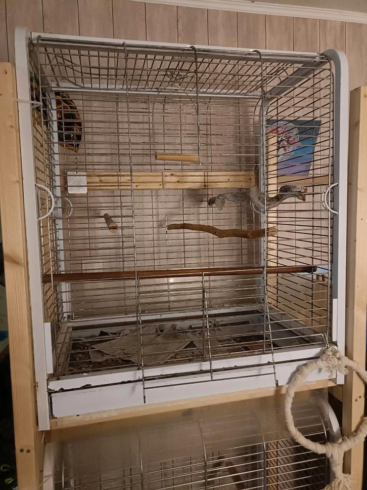Papagaaienkooi, Dieren en Toebehoren, Vogels | Hokken en Kooien, Gebruikt, Vogelkooi, Metaal, Ophalen