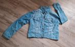 Nieuw spijkerjasje, Kleding | Dames, Maat 38/40 (M), Blauw, Nieuw, Ophalen of Verzenden