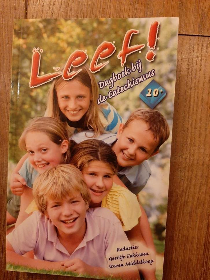 Leef! Dagboek bij de Catechismus - Geertje Fokkema, Boeken, Streekboeken en Streekromans