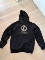 Hoodie Max Verstappen World Champion 2021 maat M nieuw!, Kleding | Heren, Truien en Vesten, Maat 48/50 (M), Zwart, Max Verstappen