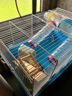 Hamsterkooi, Ophalen, Zo goed als nieuw, Kooi, Minder dan 60 cm