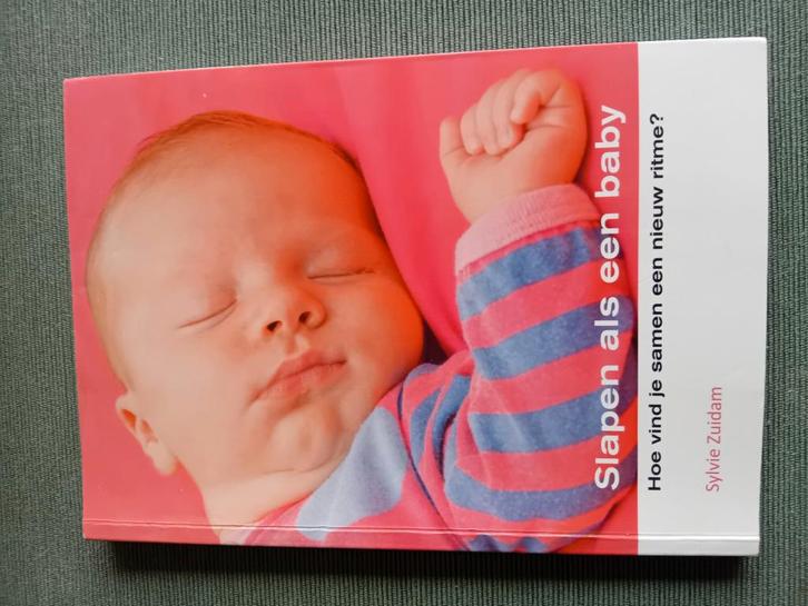 Sylvie Zuidam - Slapen als een baby, Boeken, Zwangerschap en Opvoeding, Zo goed als nieuw, Opvoeding tot 6 jaar, Ophalen of Verzenden