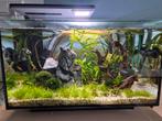 Superfish Quadro 40 aquarium, Dieren en Toebehoren, Vissen | Aquaria en Toebehoren, Ophalen, Zo goed als nieuw, Leeg aquarium
