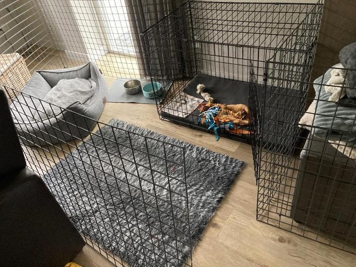 Hondenren (puppy) met geïntegreerde bench, Dieren en Toebehoren, Hondenbenches, Zo goed als nieuw, Ophalen