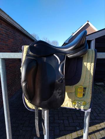 Prestige Doge17"MW.   Arno brandt 17,5"MW beschikbaar voor biedingen