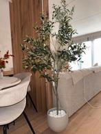 Kunst Olijfboom 150cm met Pot - Mediterrane Sfeer, Huis en Inrichting, Overige soorten, In pot, 150 tot 200 cm, Groene kamerplant