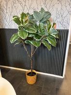 Kunstplant met rieten mand, Ophalen, Zo goed als nieuw