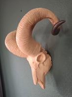 Mooie schedel schaap / bok, Ophalen of Verzenden
