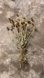 Grote bos droogbloemen, Ophalen, Zo goed als nieuw
