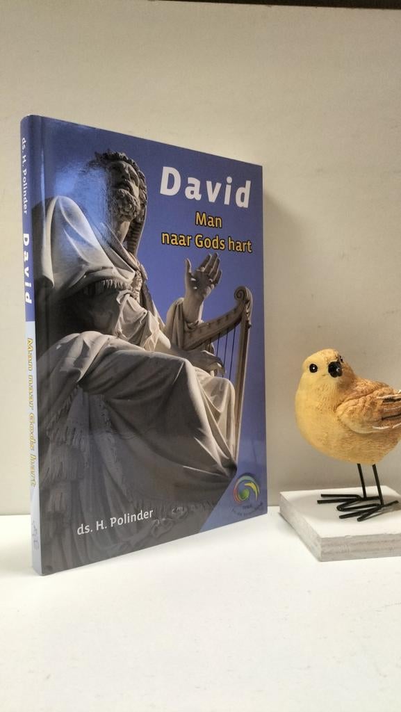 Polinder, Ds. H.; David Man naar Gods hart, Ophalen of Verzenden, Gelezen, Christendom | Protestants