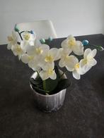 Pot met 3 kleine orchideeën, Zo goed als nieuw, Ophalen