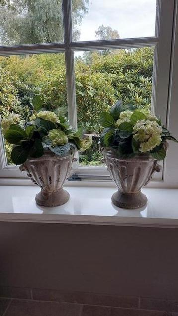 2 identieke bloempotten beschikbaar voor biedingen
