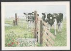 Twee Koeien bij een Hek Kunst Wiebe van der Zee Nieuw op, Verzamelen, Verzenden, 1980 tot heden, Gelopen, Overige thema's