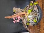 Design lamp, Ophalen, Nieuw, Natuur, Minder dan 50 cm