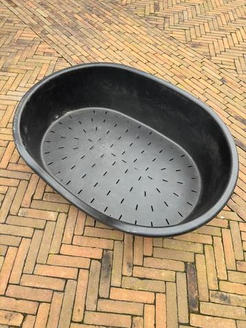 Hondenmand  beschikbaar voor biedingen
