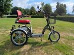Van Raam Easy Go Scootmobielfiets, Ophalen, Gebruikt, Van Raam