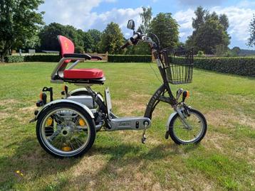 Van Raam Easy Go Scootmobielfiets beschikbaar voor biedingen