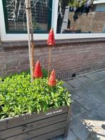Puntmuts, heksenhoedje,insectenhotel, Ophalen of Verzenden