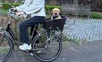 Fietsmand voor kleine hond, Dieren en Toebehoren, Ophalen of Verzenden, Zo goed als nieuw