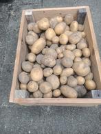Aardappels te koop. Nieuwe, Diversen, Levensmiddelen, Ophalen of Verzenden