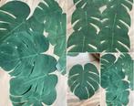 Monstera bladeren kunststof, Ophalen of Verzenden, Zo goed als nieuw