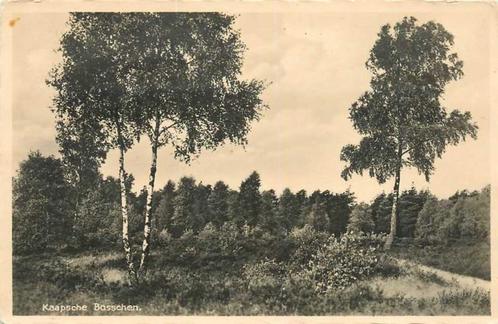 (380-109-009) Doorn Kaapsche Bosschen, Verzamelen, Ansichtkaarten | Nederland, Utrecht, Verzenden