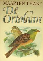 [t Hart Maarten] - De Ortolaan,, Ophalen of Verzenden, Zo goed als nieuw, Nederland