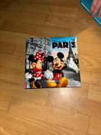 Dinsey land mickey mouse fotoalbum, Verzamelen, Disney, Mickey Mouse, Ophalen of Verzenden, Zo goed als nieuw