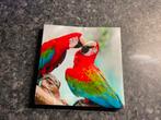 Schilderij vogel papegaai groenvleugel ara, Verzenden, Vogel, Opgezet dier