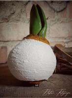 Spring BulB groot handmade keramiek, Ophalen of Verzenden