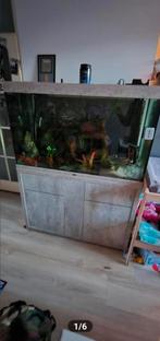 Aqualantis aquarium  compleet, Ophalen, Zo goed als nieuw, Leeg aquarium