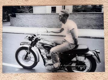 Steve McQueen Foto op Plexiglas – 90x60 cm beschikbaar voor biedingen