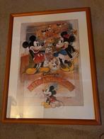Disney Art of Animation Ingelijste Print, Ophalen