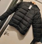 McKenzie Turnbull Full Zip Padded Jacket Junior  Nieuw  Bied, Kinderen en Baby's, Kinderkleding | Maat 158, Ophalen of Verzenden