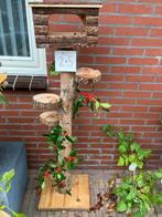 vogel/voederhuisje op boomstam ., Ophalen, Nieuw