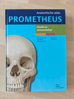 Prometheus Anatomische Atlas Hoofd en zenuwstelsel, Boeken, Ophalen of Verzenden, Natuurwetenschap, Udo Schumacher; E. Schulte; M. Schünke