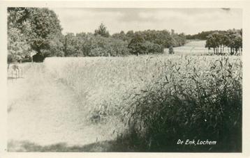 (387-200-053) Lochem De Enk beschikbaar voor biedingen