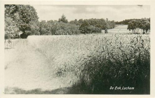 (387-200-053) Lochem De Enk, Verzamelen, Ansichtkaarten | Nederland, Gelderland, Verzenden